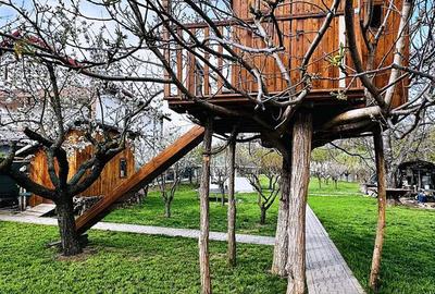 Direct proprietar - Proprietate Unica Buftea - 28