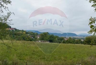 Teren de 3175 mp, în Poiana Angelescu - 10