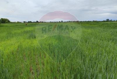 Teren intravilan de vanzare in Ulmeni (Plopi) - 1