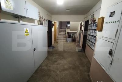 Apartament cu 3 camere semidecomandat în Nufărul - 2
