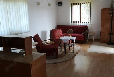 Vand casa vacanta lemn la Otvesti - 8