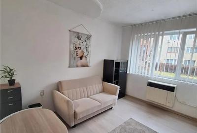 Garsonieră semidecomandată în Noua - 1