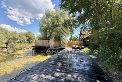 Casă individuală cu 6 camere cu Canalizare în Crișan - 46