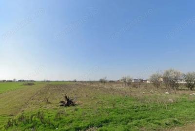 Teren de 480 mp, în Berceni