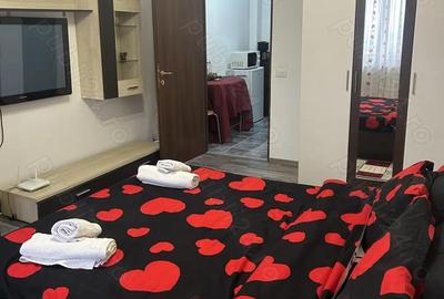 Garsonieră decomandată în Calea București - 7