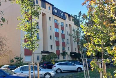 Proprietar inchiriez - 3