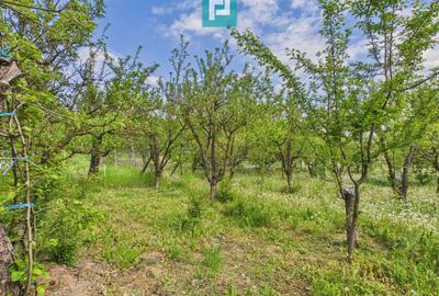 Casă individuală cu 3 camere cu Canalizare în Drauț - 9