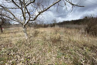 Teren intravilan in suprafata de 2000 mp, zona Episcopiei - 2