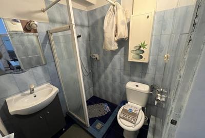 Apartament cu 2 camere semidecomandat, mobilat în Lipovei - 8