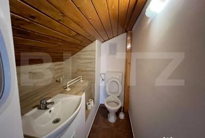 Spațiu comercial, de 250 mp, în Titulescu - 14