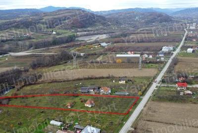 Teren în Bârseștii de Jos - 8