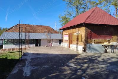 Casă cu 2 camere cu Teren 2200 Mp în Luptători - 2
