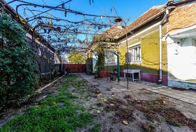 Casa din caramida 3 camere - Teren 755 mp - Livada, Arad - 2