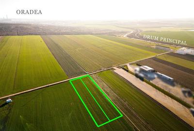 Teren intravilan de 5500 mp, în Biharia - 8