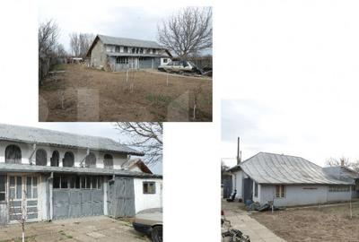 Casa de Vanzare la ?ara, Gospodarie Completa, Dane?i, - 4