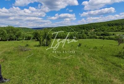 Parcelele cu cele mai bune preturi din judet - 6