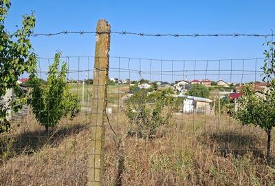 Casă cu 4 camere în Costi - 3