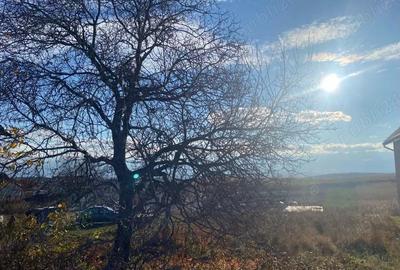 Spațiu comercial, în Șura Mare - 2