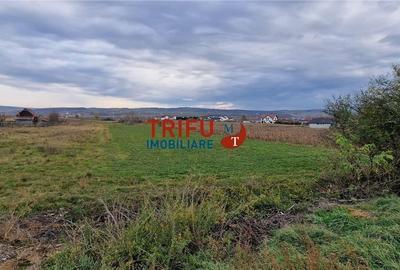 Teren 2160mp în  Partoș - 2