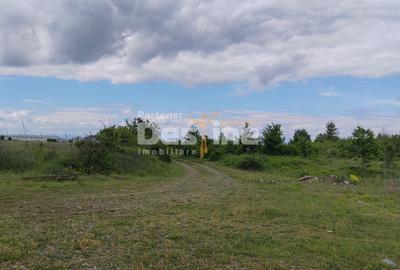 Teren agricol extravilan de 114000 mp, în Ariceștii Rahtivani - 15