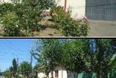 Casa si teren cota parte 3/16 si 3/32, Braila. ID: R2739910 - 7