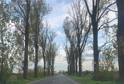 Teren Construcții intravilan de 30000 mp, în Ștefăneștii de Jos - 11