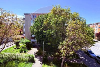 Apartament cu 2 camere decomandat, mobilat în Banu Mărăcine - 11