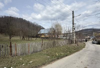 Teren de 6040 mp, în Provița de Jos - 12