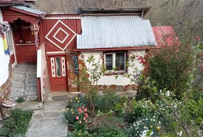 Casă cu 5 camere cu Teren 600 Mp în Colți - 3