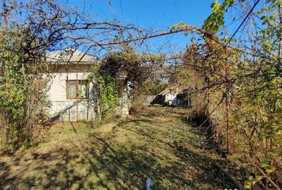 Casă cu 4 camere cu Teren 7720 Mp în Brătești - 2