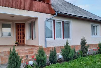 Unguras, casa , 6 ari teren - 8