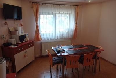 Casa / vila Bascov , mobilata / utilata - 18