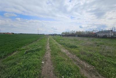 Teren Construcții intravilan de 1100 mp, în Vârteju - 1