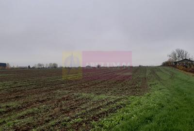 Teren Construcții intravilan de 2250 mp, în 1 Decembrie - 3