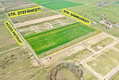 Spațiu comercial, în Moșnița Nouă - 6