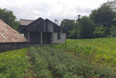 Casă cu 3 camere cu Teren 3600 Mp în Fântâna Mare - 3