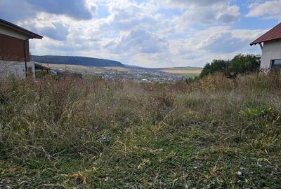 Teren cu autorizatie pentru doua case in Chinteni - 10