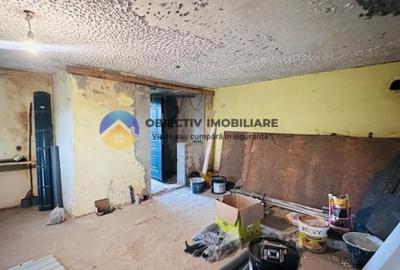 Casa + teren de vanzare - Savinesti - 19
