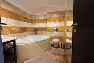 Apartament cu 3 camere decomandat, mobilat în Drumul Taberei - 8