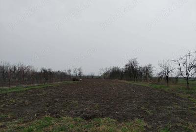 Casă cu 5 camere în Racovița - 13