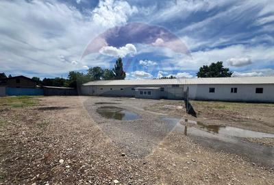 Spa?iu industrial de inchiriat FOCSANI - 2