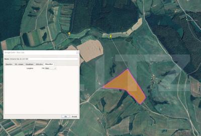 Tern extravilan 24,3504 ha, Ardud - 1