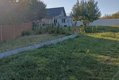 Vand casa cu 10 arii teren - 9