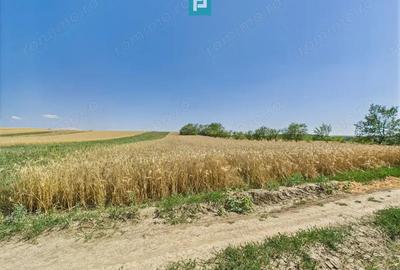 Teren intravilan + extravilan in Remetea Mica - 4