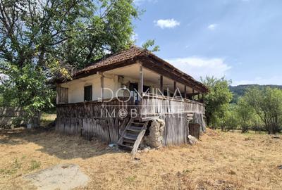 Proprietate in apropiere de complex turistic Mu?ete?ti - 13