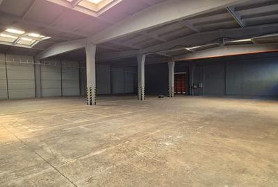 Spațiu comercial, de 4,300 mp, în Sud - 2