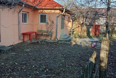 Casă cu 3 camere cu Teren 600 Mp în Pietroasele - 3
