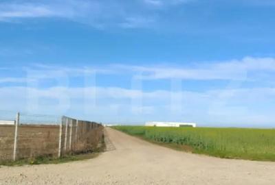 Teren de 59000 mp, în Ariceștii Rahtivani - 5