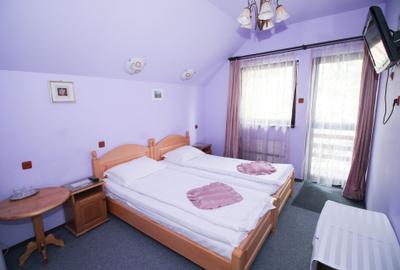 Vila de vanzare in Sinaia – investitie ideala in inima statiunii - 10