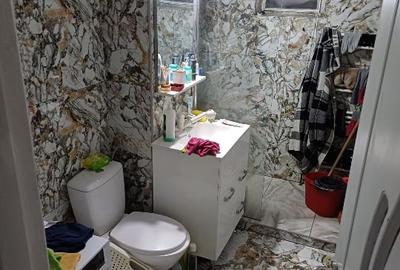 APARTAMENT 3 CAMERE DE VINZARE - 5